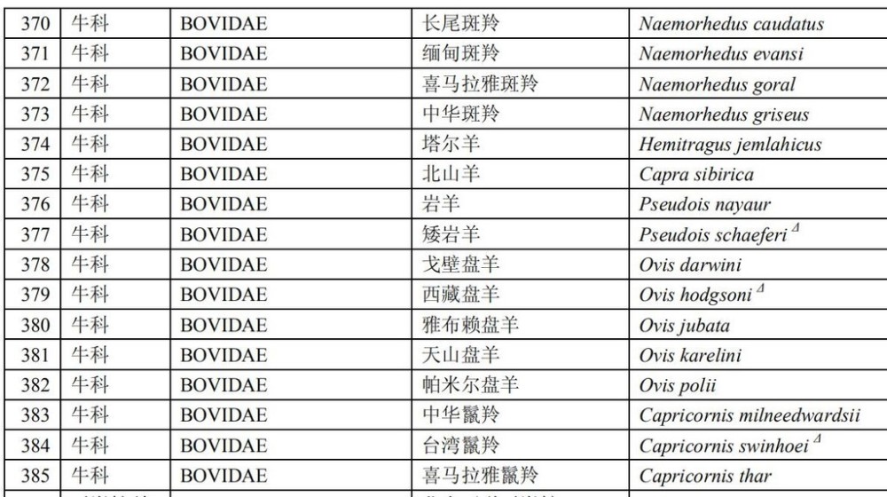 2024今晚澳门开什么号码，专家解答解释落实_iShop44.76.93