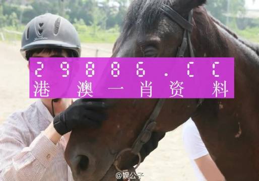 今晚一肖一码澳门一肖com，详细解答解释落实_轻量版5.26.12