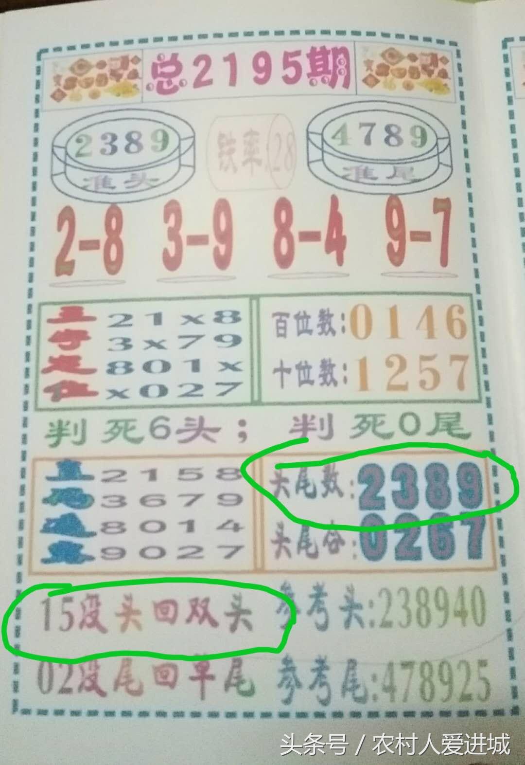 2024年11月 第45页